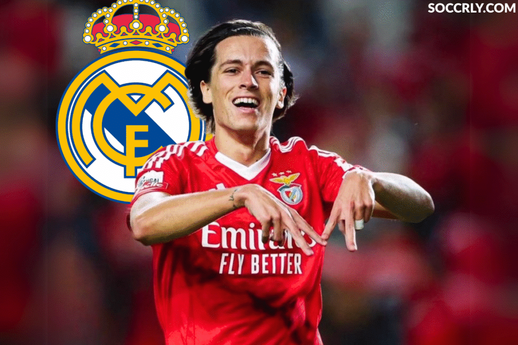 Álvaro Carreras, Real Madrid Transfer